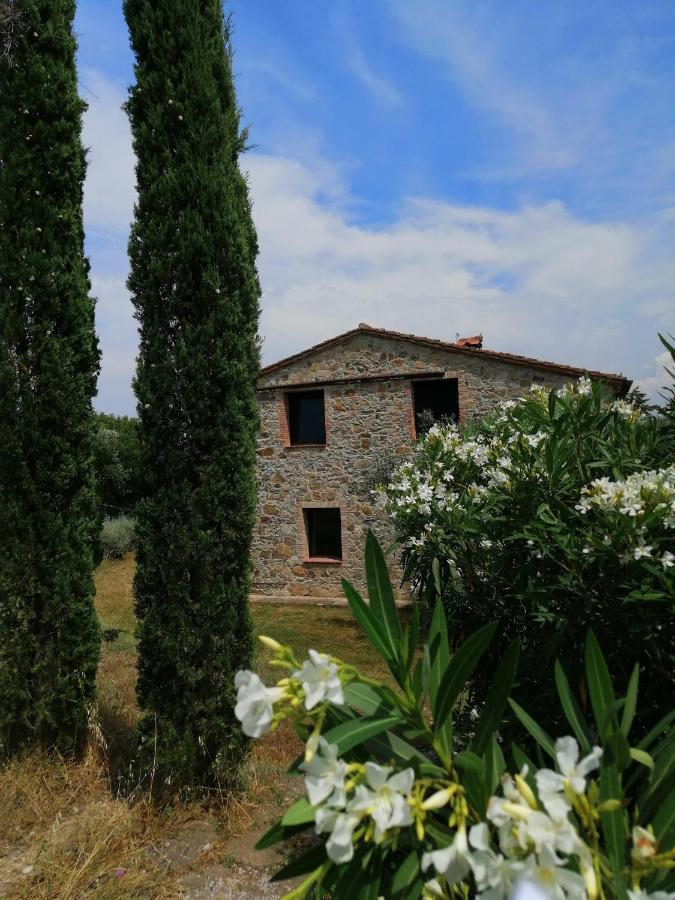 Casetta Dell'Uliveto Macchiascandona Dış mekan fotoğraf