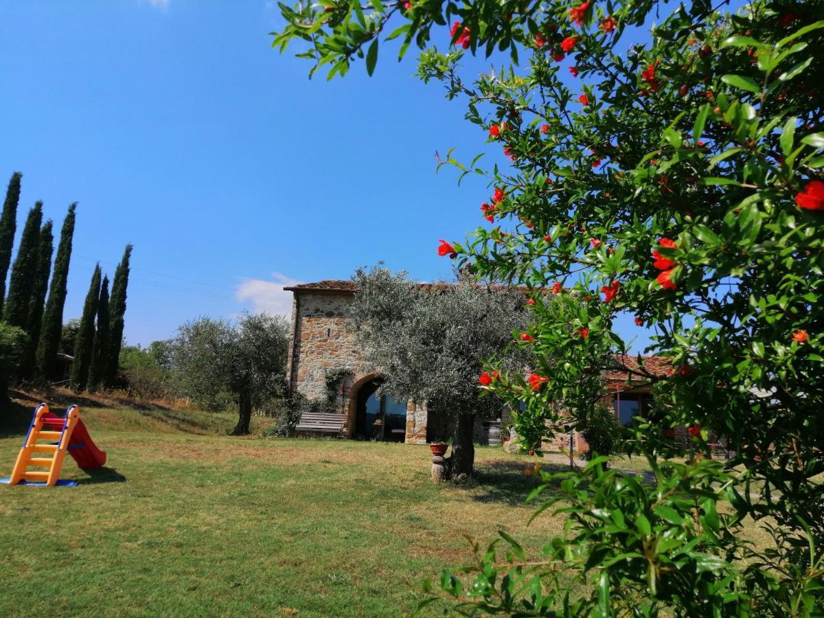 Casetta Dell'Uliveto Macchiascandona Dış mekan fotoğraf