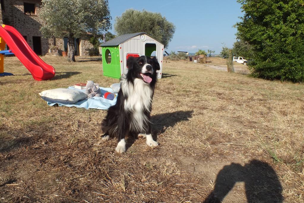 Casetta Dell'Uliveto Macchiascandona Dış mekan fotoğraf
