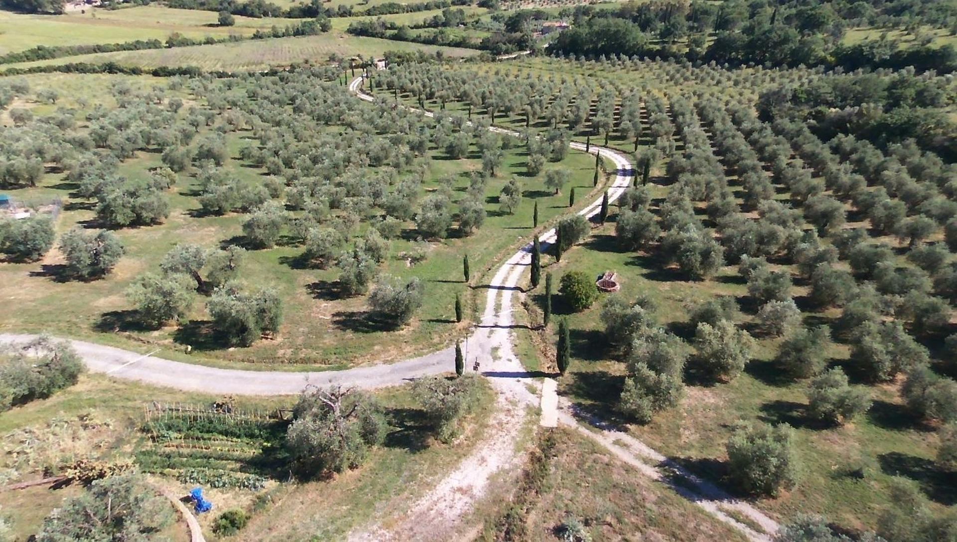 Casetta Dell'Uliveto Macchiascandona Dış mekan fotoğraf