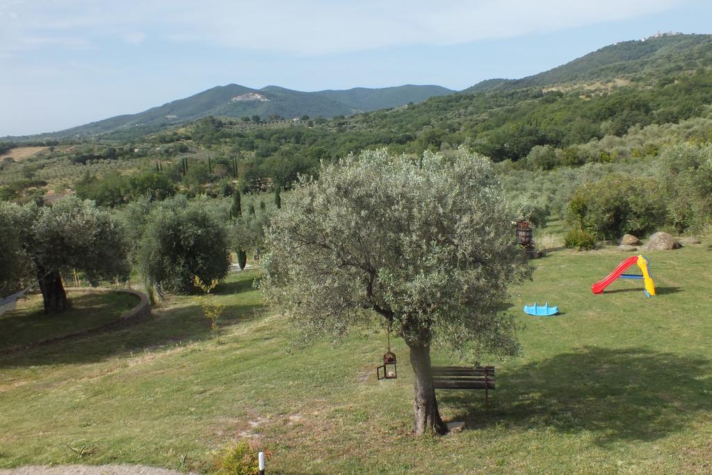Casetta Dell'Uliveto Macchiascandona Dış mekan fotoğraf