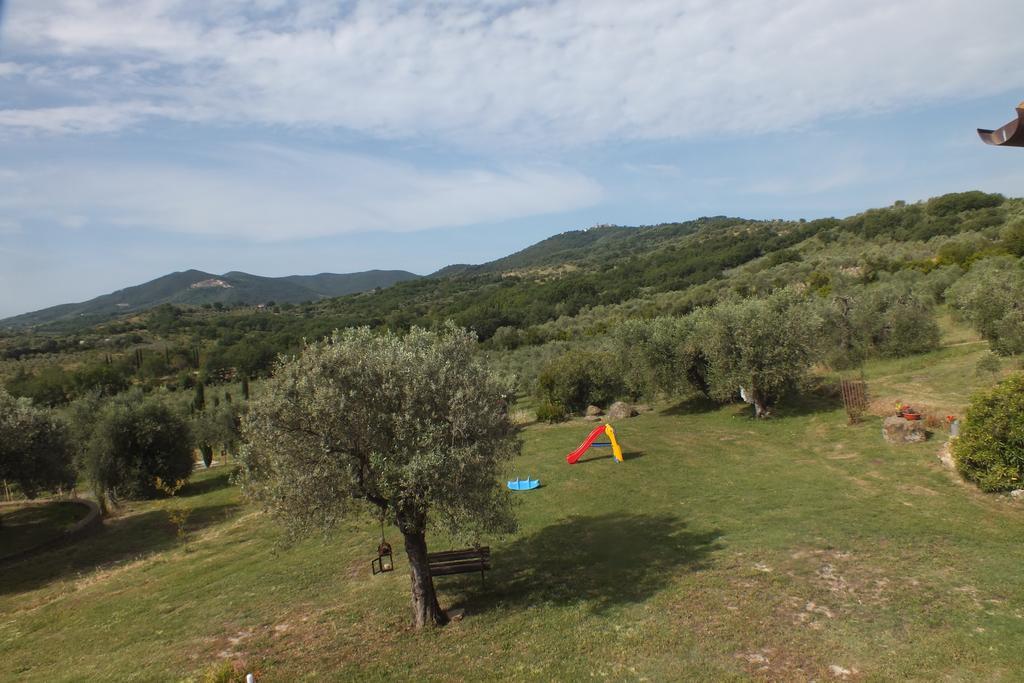 Casetta Dell'Uliveto Macchiascandona Dış mekan fotoğraf