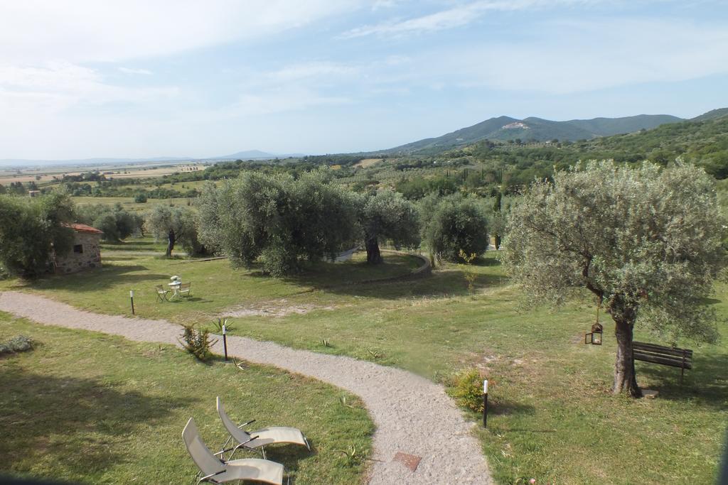 Casetta Dell'Uliveto Macchiascandona Dış mekan fotoğraf