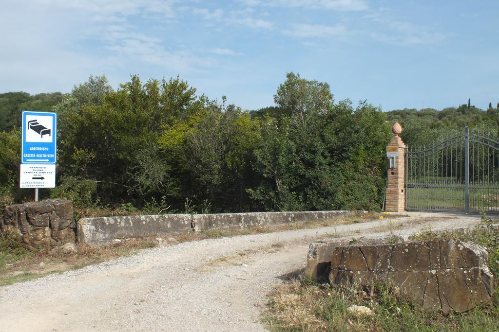 Casetta Dell'Uliveto Macchiascandona Dış mekan fotoğraf